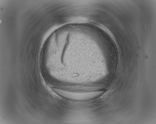 X0000065231488200603101542