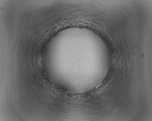 X0000065231490200603101541