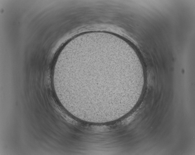 X0000065231498200603101541