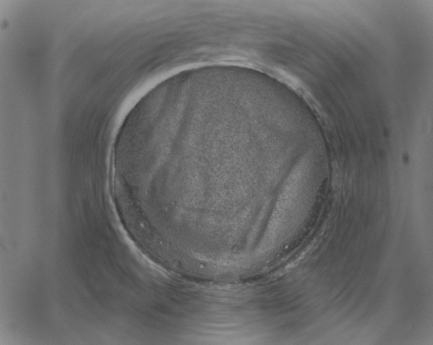 X0000065231520200603101541