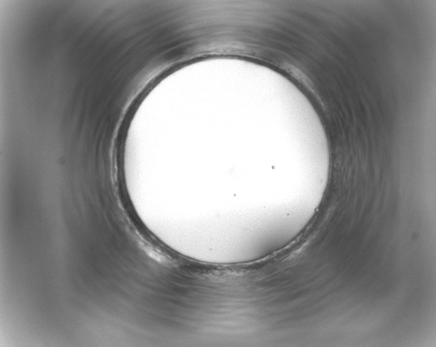 X0000065231082200603172106
