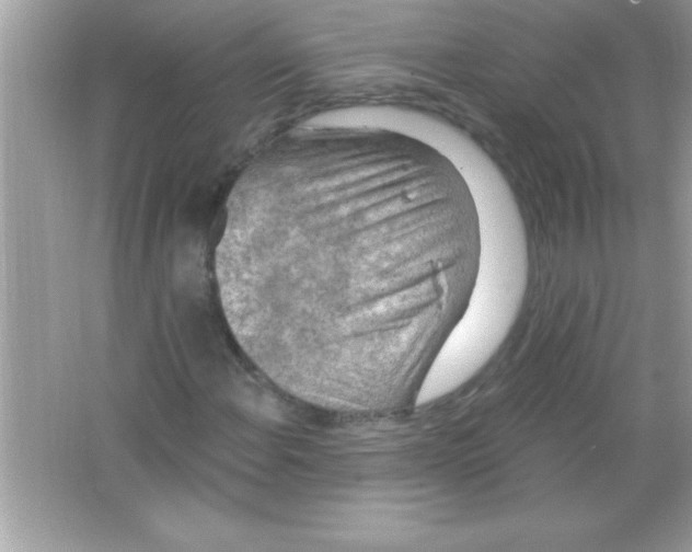 X0000065231108200603172105