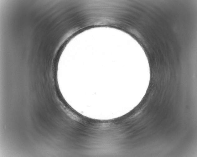 X0000065231122200603172105