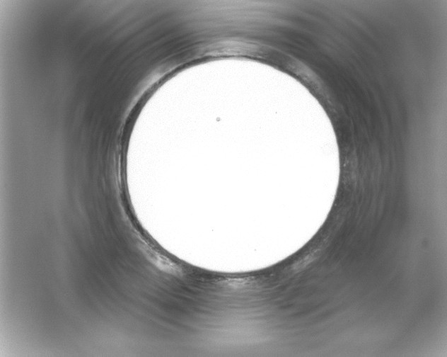 X0000065231130200603172105