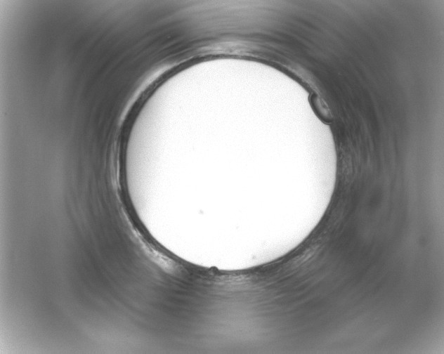 X0000065231131200603172105