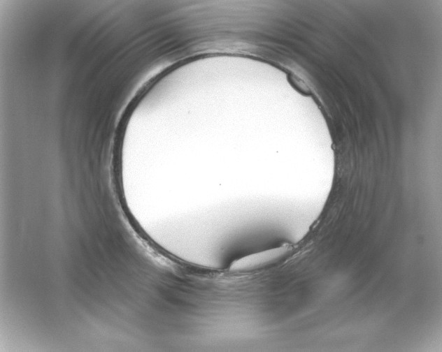 X0000065231139200603172105