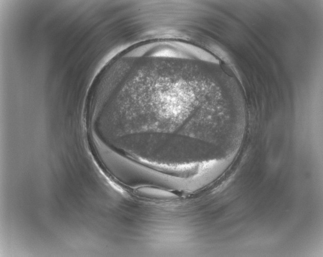 X0000065231141200603172105