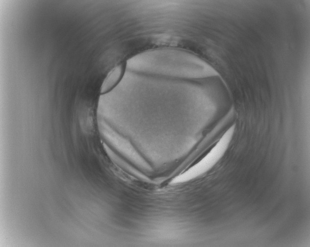 X0000065231154200603172105