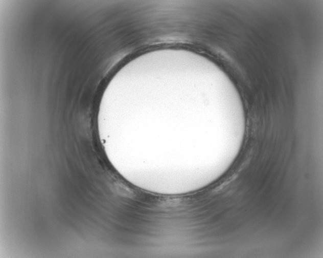 X0000065231162200603172104
