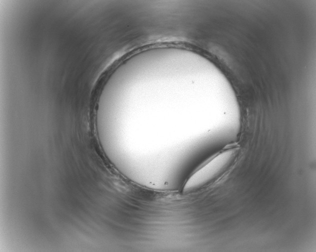 X0000065231165200603172104