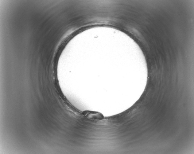 X0000065231172200603172104