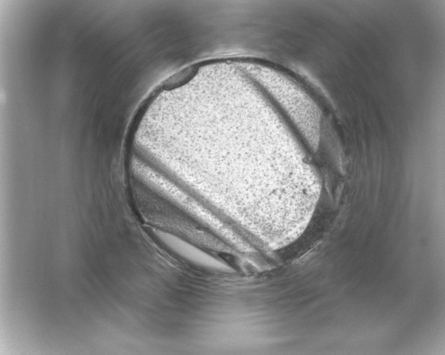 X0000065231173200603172104
