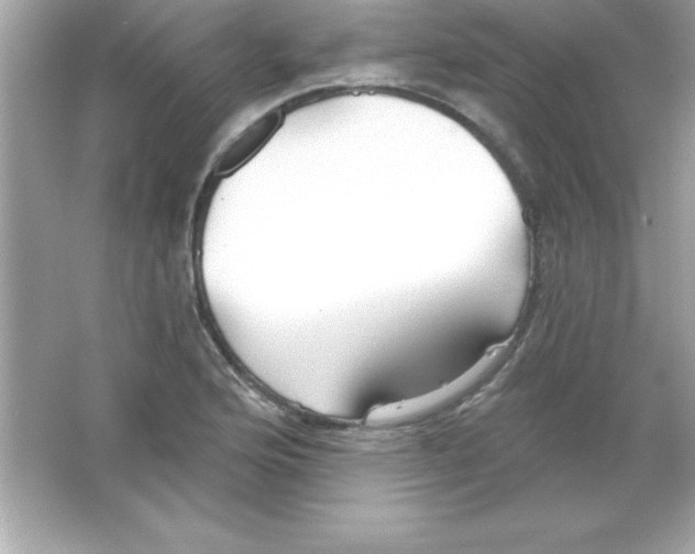 X0000065231176200603172104