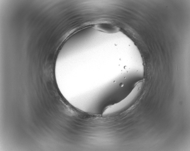 X0000065231177200603172104