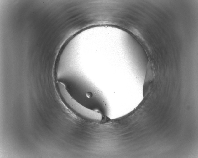 X0000065231181200603172104