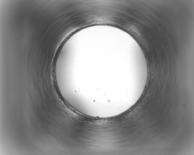 X0000065231182200603172104