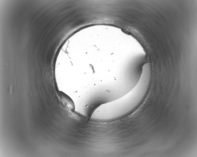 X0000065231184200603172104