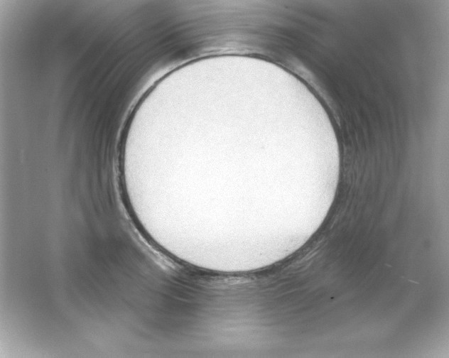X0000065231187200603172104