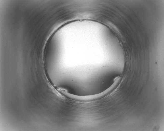 X0000065231192200603172104