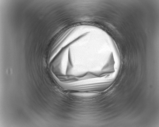 X0000065231209200603172103