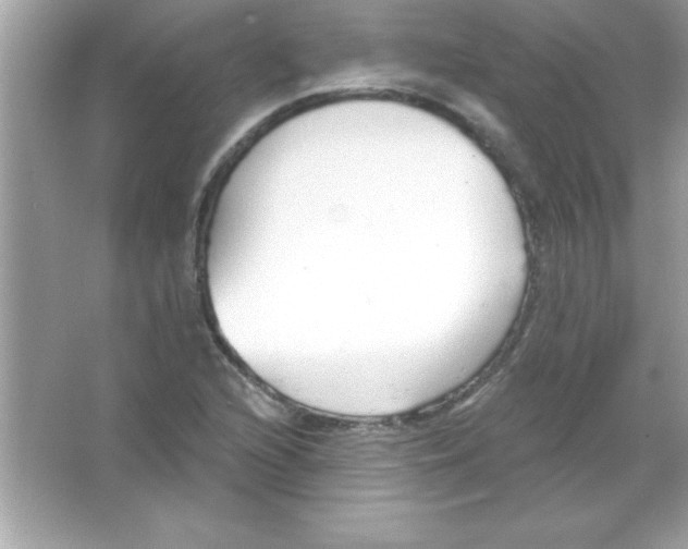 X0000065231216200603172103