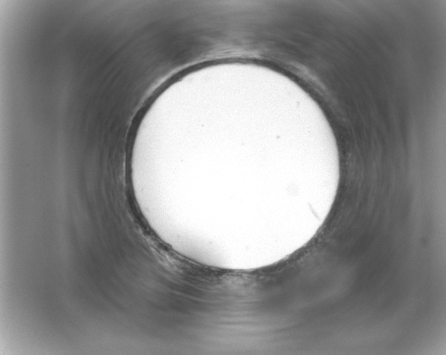 X0000065231220200603172103