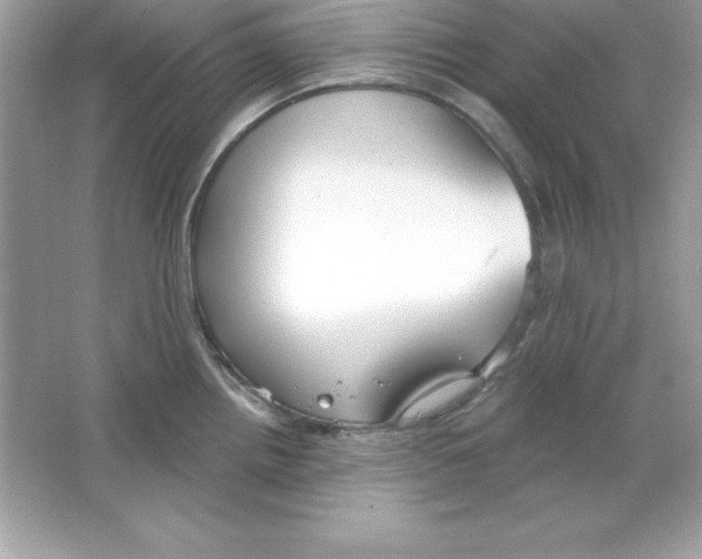 X0000065231242200603172104