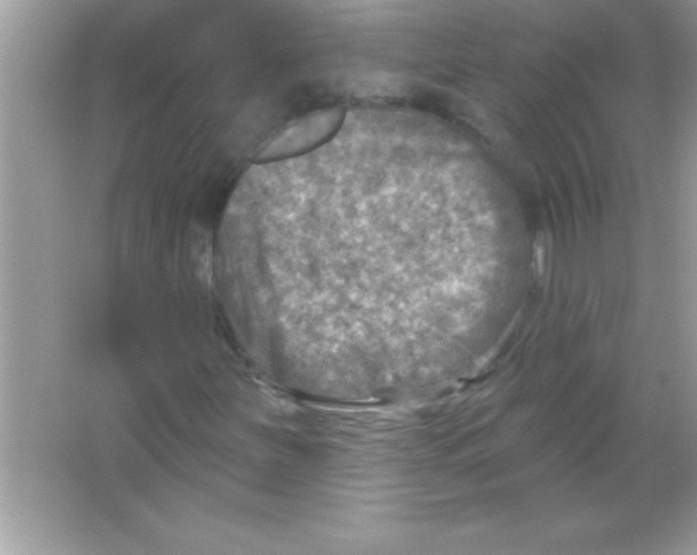 X0000065231251200603172103