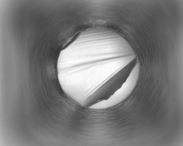 X0000065231252200603172103