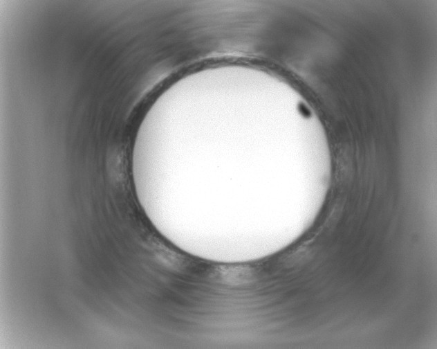 X0000065231258200603172103