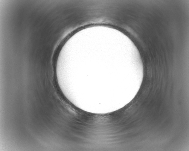 X0000065231270200603172103