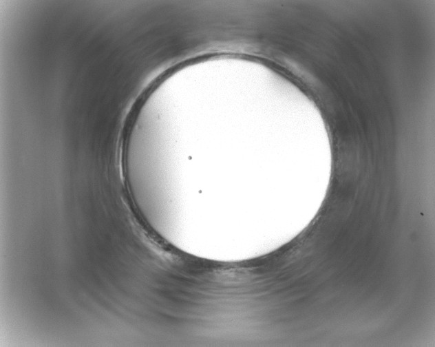 X0000065231272200603172103