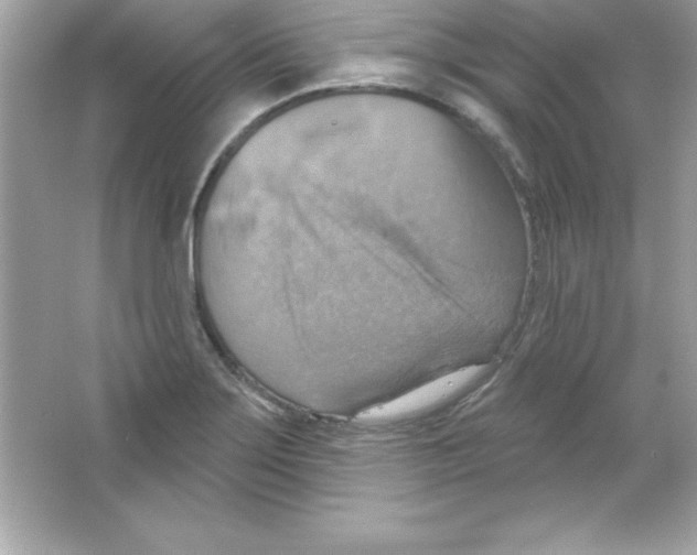 X0000065231275200603172102
