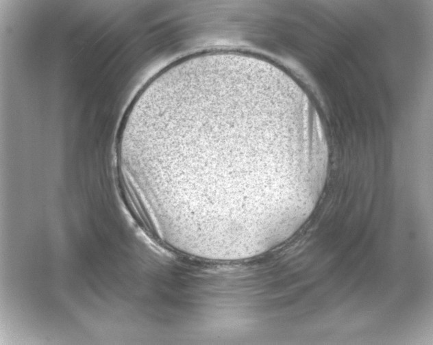 X0000065231287200603172102