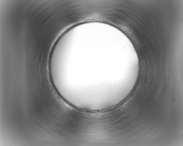 X0000065231288200603172102
