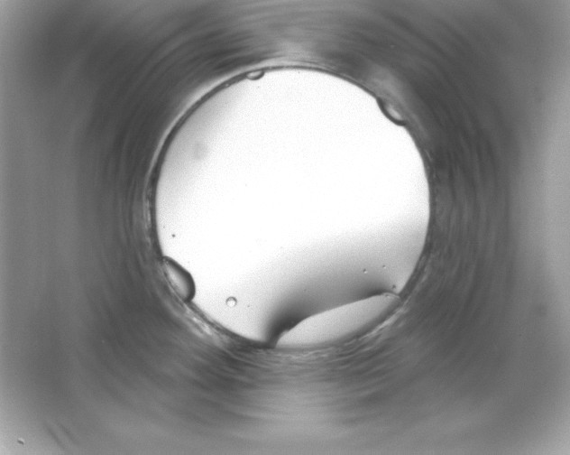 X0000065231292200603172102