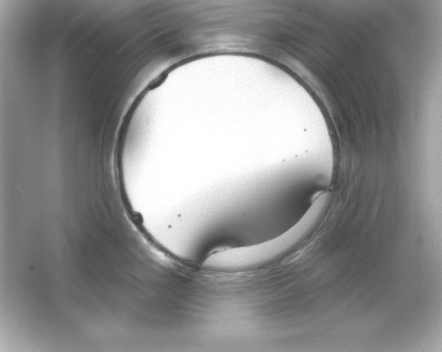 X0000065231293200603172102