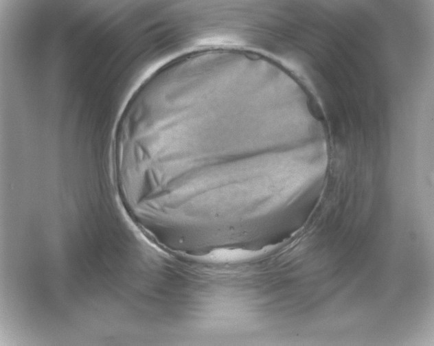 X0000065231295200603172102