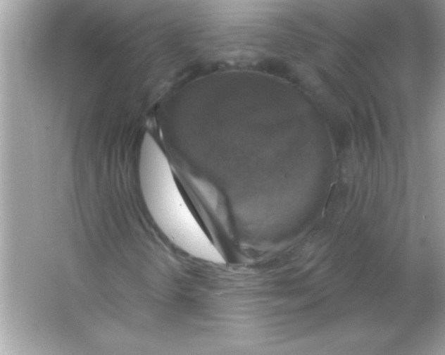 X0000065231298200603172101
