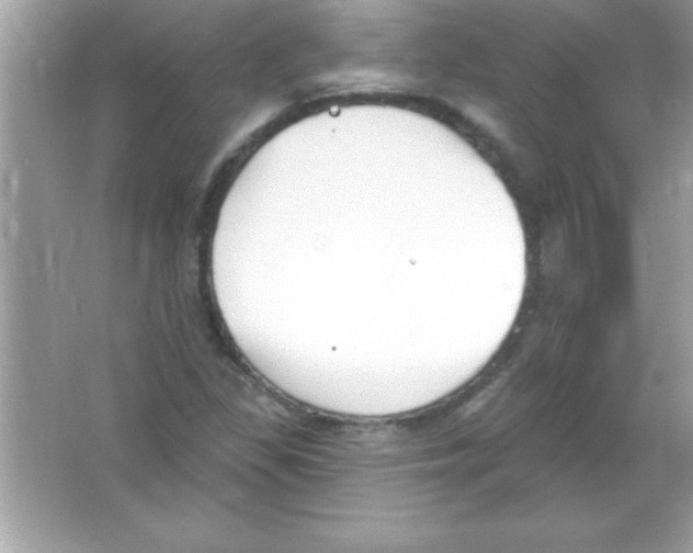 X0000065231309200603172101