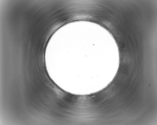 X0000065231322200603172102