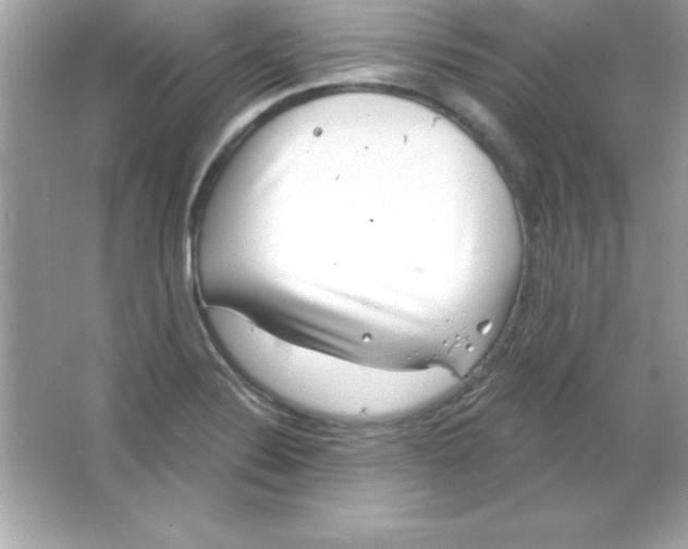 X0000065231324200603172102