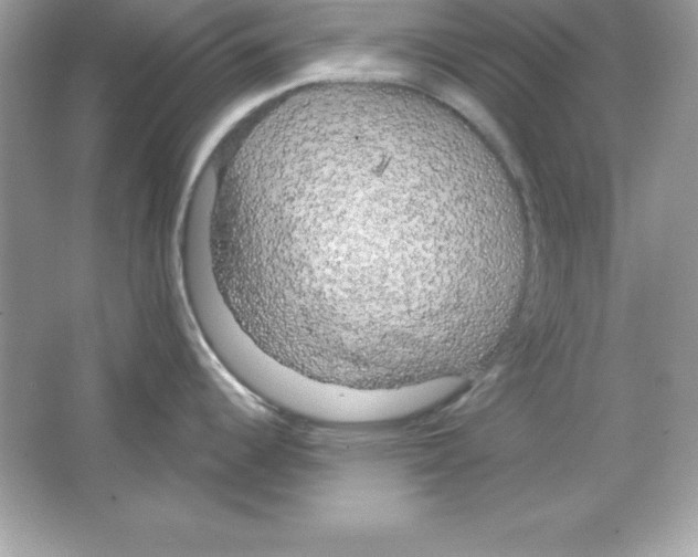 X0000065231344200603172102