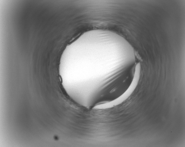 X0000065231345200603172101