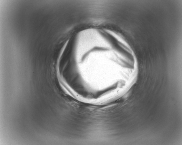 X0000065231349200603172101