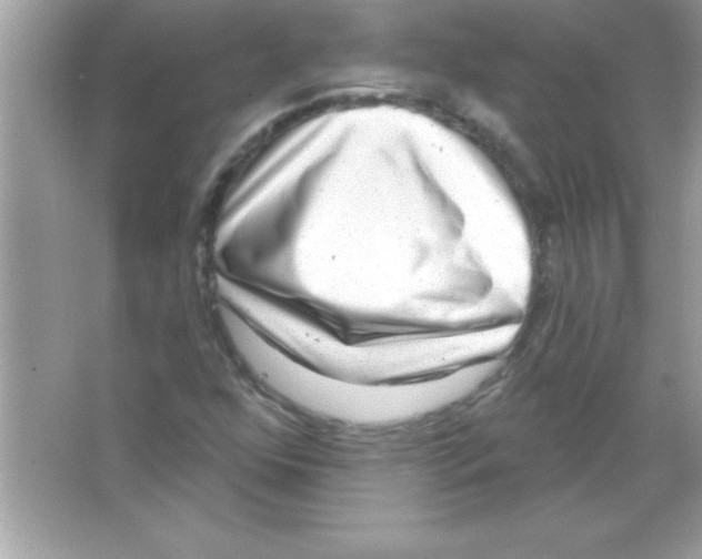 X0000065231352200603172101