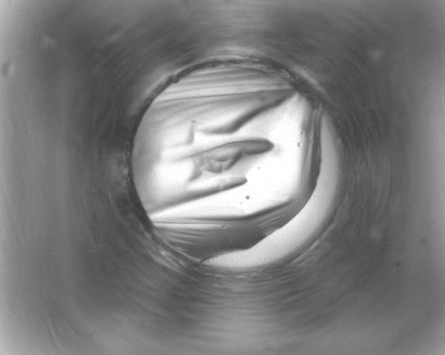 X0000065231355200603172101