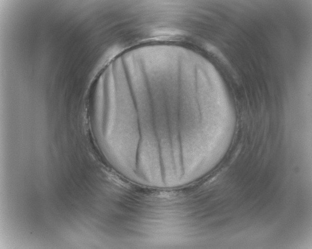 X0000065231362200603172101