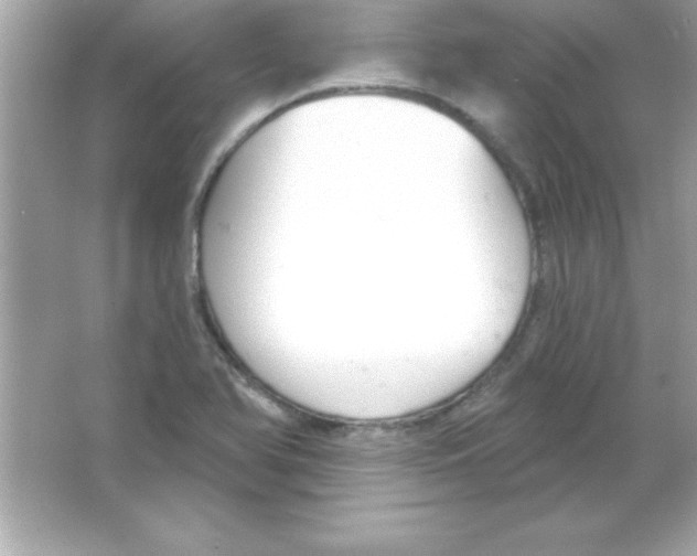 X0000065231366200603172101