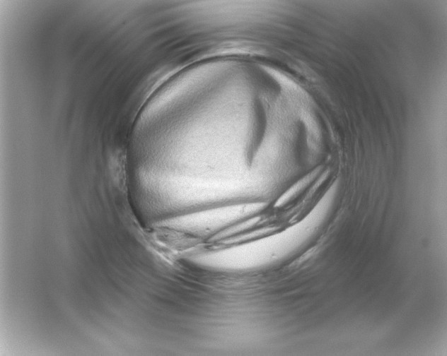 X0000065231369200603172101